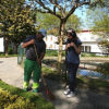 NODAR.00123 - Viseu: Jardim da Av. Emídio Navarro - Homem a varrer folhas