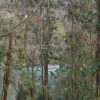 NODAR.00177 - Canelas: Paiva e Praia Fluvial