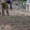 NODAR.00470 - Coutos de Viseu: Paisagem audiovisual da plantação nos campos em Couto de Cima