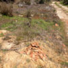 NODAR.00568 - Barreiros e Cepões: Empilhamento de cacos cerâmicos recolhidos em baldio junto a caminho de terra batida no lugar de Azival