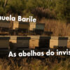 NODAR.00986 - Várzea de Calde: Manuela Barile - As abelhas do invisível