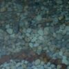 NODAR.01357 - O Luso e a sua longa história de água - Luso, Mealhada