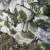 NODAR.01711 - O Cantar da Pedra - Improvisação em muro de pedra com musgo (Aldeia do Vale, Pombal)
