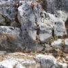 NODAR.01712 - O Cantar da Pedra - Interação com pedras de calcário junto à capela de Nossa Senhora da Estrela (Poios, Pombal)