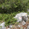 NODAR.01740 - O Cantar da Pedra - O caminho da cruz no sentido ascendente (Serra da Portela, Ansião)