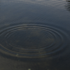 NODAR.01859 - Captação de água a correr nos arredores de Pendilhe 3'53" (Pendilhe, Vila Nova de Paiva)