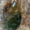 NODAR.02133 - O gotejar constante da Fonte Santa (Várzea de Calde, Viseu)