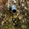NODAR.02138 - Gravação detalhada das pingas da Fonte Santa, em Várzea de Calde, com o dreno obstruído (Várzea de Calde, Viseu)
