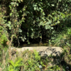 NODAR.02140 - Som ambiente de nascente, onde o vento se faz presente (Várzea de Calde, Viseu)