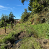 NODAR.02141 - Exploração sonora junto a uma das nascentes da Rua Sobreiras (Várzea de Calde, Viseu)